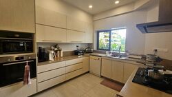 The Arcadia (D11), Condominium #609478771